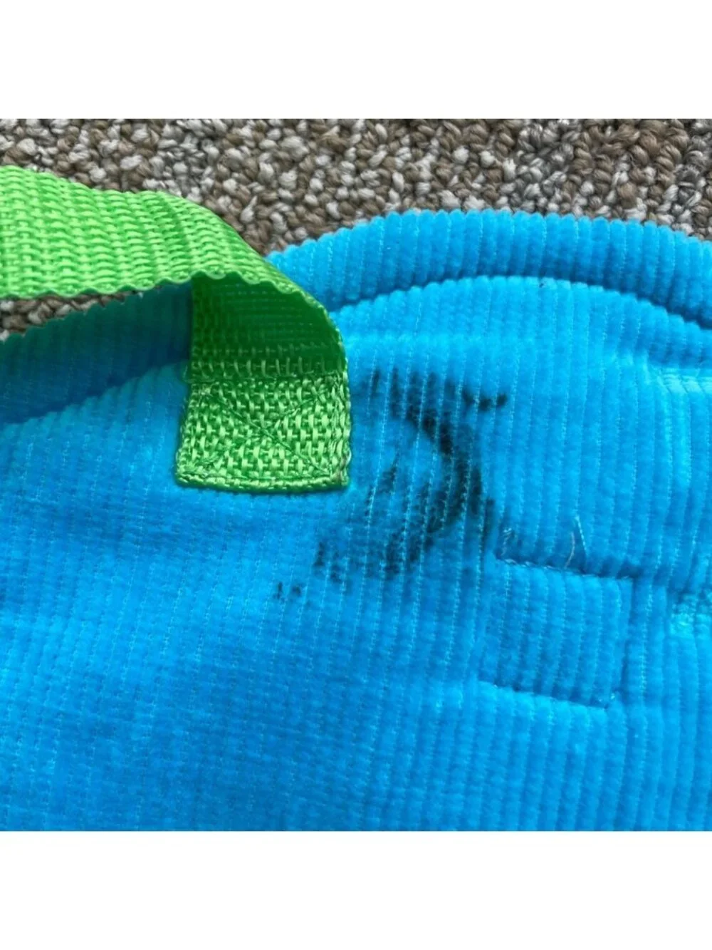 webkinz blue green